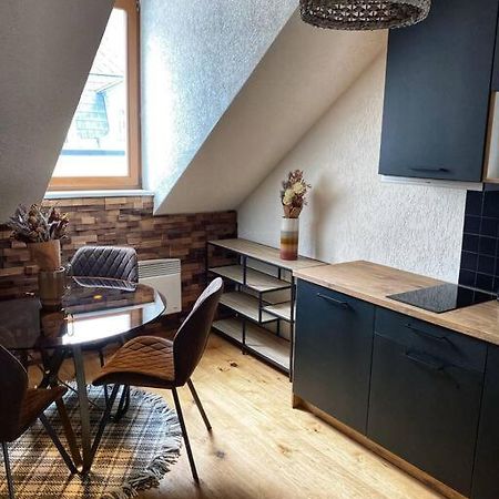 Cozy And Warm Apartment In The Heart Of Karlsbad Luaran gambar