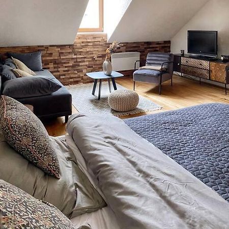 Cozy And Warm Apartment In The Heart Of Karlsbad Luaran gambar